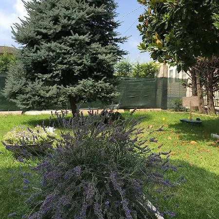 דירה A Villafontana